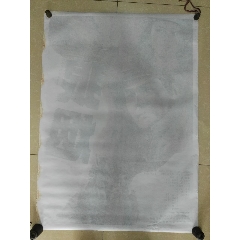 哈斯汀法学院 Science and technology diploma